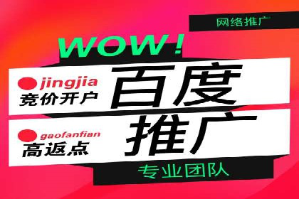 某电商平台SEM竞价广告的转化率提升案例