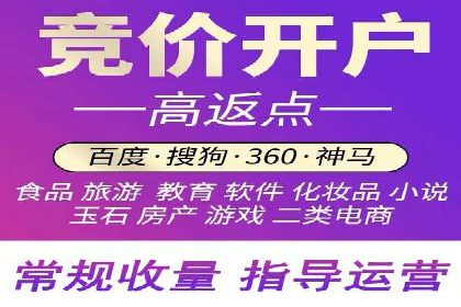 竞价代运营成功案例解析