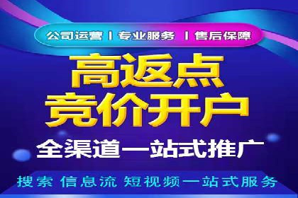百度竞价代运营公司成功案例揭秘：策略与执行